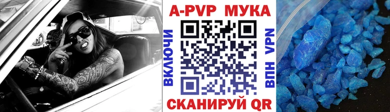 A-PVP СК КРИС Суздаль
